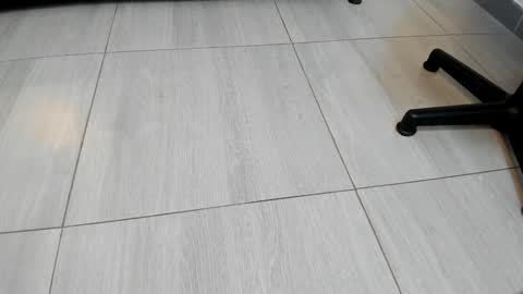 adbel sady online show from 23, 12, 2024