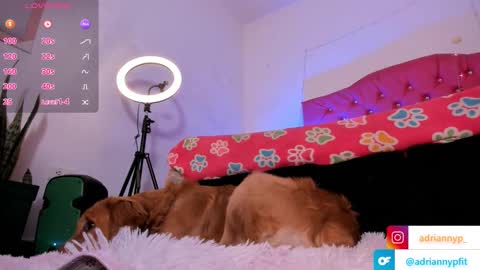 adrianny online show from 18, 9, 2025