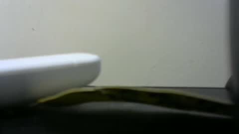 africanlovei online show from 2, 1, 2025