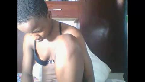 PHOEBE online show from 31, 3, 2026