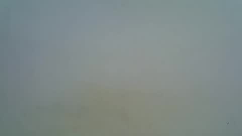 Snapshot of afronubians chatting on 5, 3, 2025 afronubians online show from 5, 3, 2025