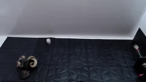  Miss Agata  online show from 7, 1, 2026