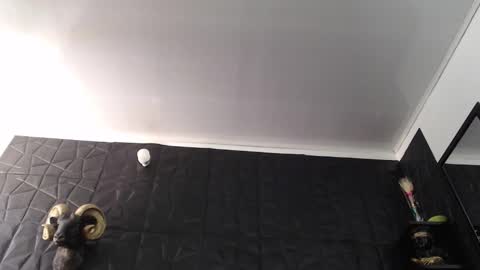  Miss Agata  online show from 5, 2, 2026