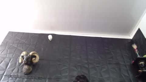  Miss Agata  online show from 13, 2, 2026