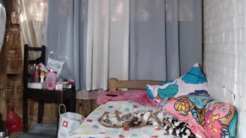 Markii online show from 31, 12, 2024