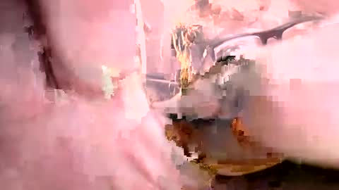 Snapshot of ajistightfeg chatting on 1, 10, 2025 Ajishigh online show from 1, 10, 2025