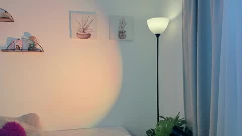   online show from 28, 5, 2026