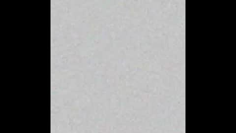 Alan Noir online show from 13, 3, 2026