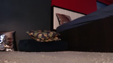 Snapshot of alanna_gold chatting on 11, 1, 2025 Alanna online show from 11, 1, 2025