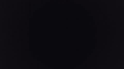 Snapshot of albert391 chatting on 23, 12, 2024 Albert online show from 23, 12, 2024