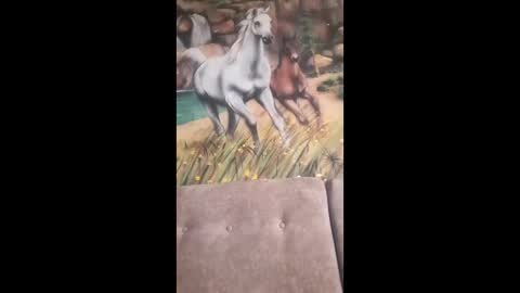 Snapshot of albina6543 chatting on 13, 2, 2026 albina online show from 13, 2, 2026