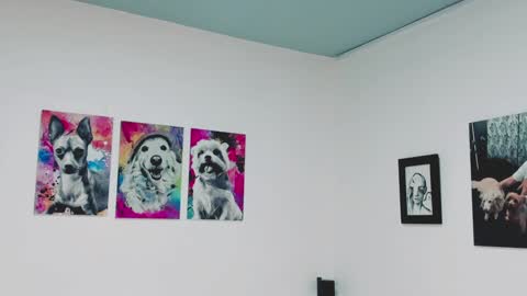 Alejandra online show from 23, 12, 2024