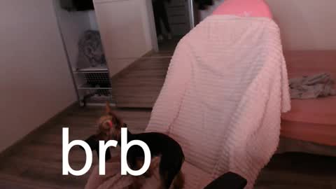 Alex online show from 21, 9, 2025