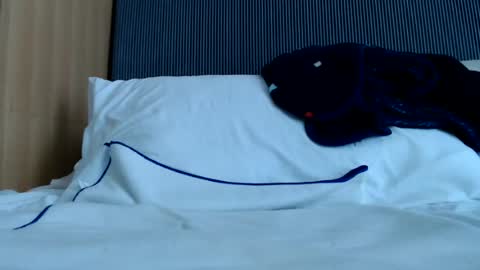 Snapshot of alex_nicha chatting on 13, 6, 2026 Nicha online show from 13, 6, 2026