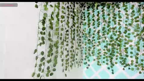 chicos hot online show from 18, 11, 2025