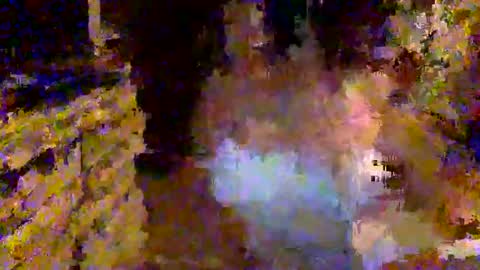 Snapshot of alexasinsxo chatting on 24, 5, 2026 Alexa Sins online show from 24, 5, 2026