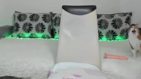 Alexa online show from 11, 1, 2025