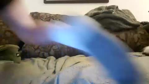 Alexinside you online show from 8, 11, 2025