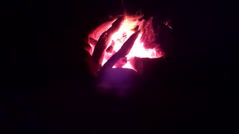 AlexThyCat online show from 28, 9, 2025