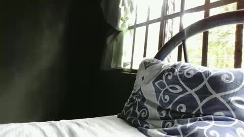 Alex online show from 29, 12, 2024