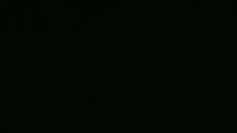 alf1307545 online show from 24, 2, 2025