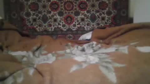 Snapshot of alferezsolvajo chatting on 25, 2, 2026 alferezsolvajo online show from 25, 2, 2026