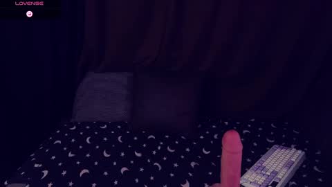 AlicePinkhead online show from 11, 3, 2025