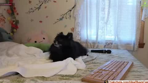 Alice Rivers ---- Enter my public Discord-  online show from 5, 2, 2026