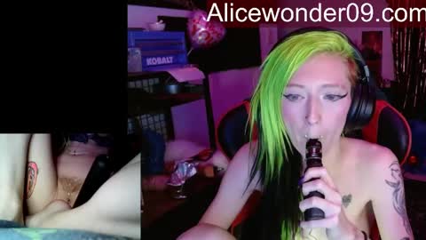 Alice online show from 11, 3, 2026