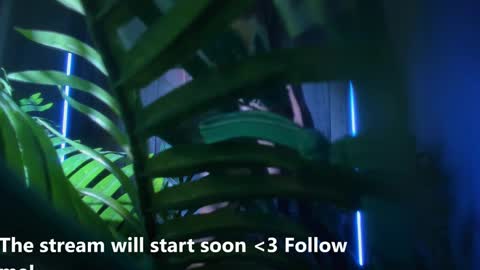 Snapshot of alicia_x_art chatting on 2, 1, 2025 Alicia Lici  online show from 2, 1, 2025