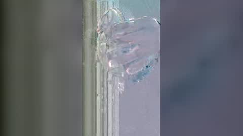 alisherof online show from 13, 1, 2026