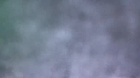 Snapshot of all_most_sane chatting on 19, 5, 2026 all_most_sane online show from 19, 5, 2026