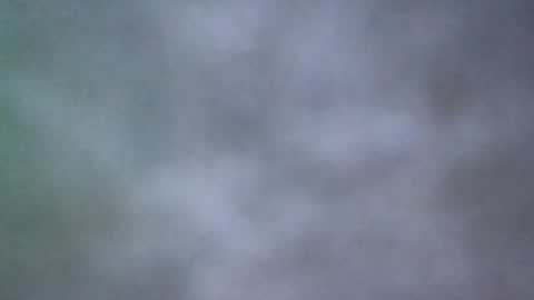 Snapshot of all_most_sane chatting on 20, 5, 2026 all_most_sane online show from 20, 5, 2026