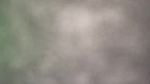 Snapshot of all_most_sane chatting on 21, 5, 2026 all_most_sane online show from 21, 5, 2026
