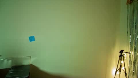 Alli online show from 7, 11, 2025