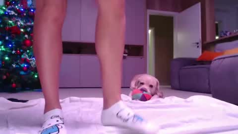 Snapshot of allissonhotbb chatting on 15, 12, 2024 allissonhotbb online show from 15, 12, 2024
