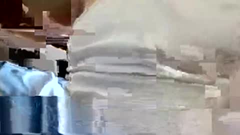 Snapshot of allman617 chatting on 13, 11, 2025 allman617 online show from 13, 11, 2025