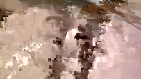 Snapshot of allman617 chatting on 16, 11, 2025 allman617 online show from 16, 11, 2025