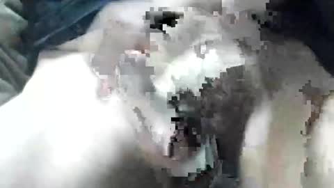 Snapshot of allways395 chatting on 28, 9, 2025 allways395 online show from 28, 9, 2025