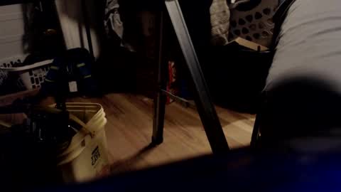 allwolf0323 online show from 21, 3, 2026