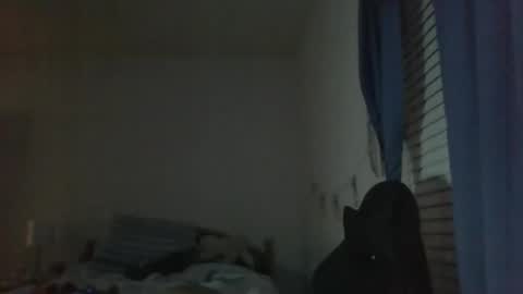 ally12334 online show from 25, 10, 2025