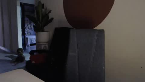 Snapshot of alogenotwink chatting on 17, 12, 2025 STEPHAN online show from 17, 12, 2025