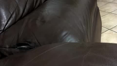 kenzo online show from 12, 2, 2026