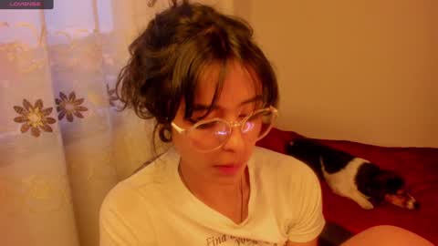 . .  online show from 16, 12, 2024