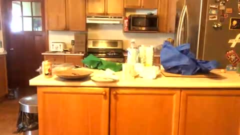 Snapshot of alvie_bones chatting on 26, 1, 2025 Alvie online show from 26, 1, 2025