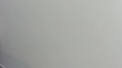 Alvin Daley online show from 14, 11, 2025