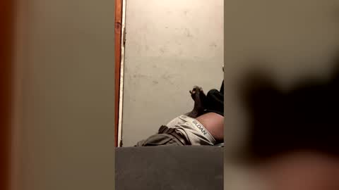 Snapshot of alwayshorny240177 chatting on 13, 2, 2026 alwayshorny240177 online show from 13, 2, 2026