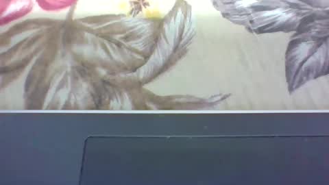 alydie7 online show from 12, 4, 2026