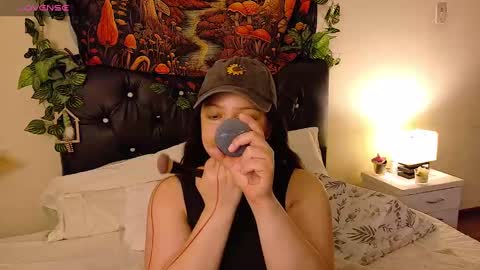         online show from 2, 11, 2025