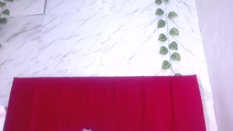 Snapshot of amandacanelamar chatting on 15, 6, 2026 Amanda 3 online show from 15, 6, 2026